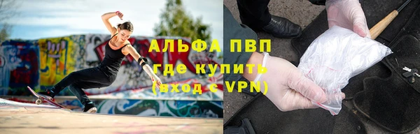 шишки Алексеевка