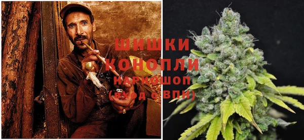 шишки Алексеевка