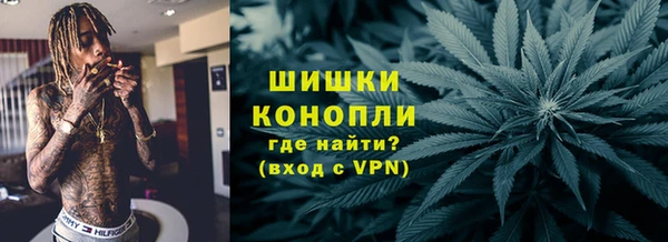 шишки Алексеевка
