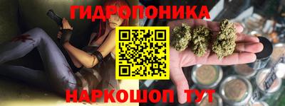 герыч Кингисепп