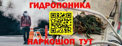 герыч Кингисепп