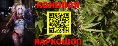 PSILOCYBIN Кинель